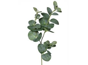 Umělá rostlina Eukalyptus 64 cm, zelená